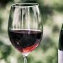 Cosatu welcomes tabling of Liquor Amendment Bill