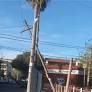 Poste inclinado genera alarma en Marcelo T. de Alvear y Alsina