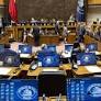 Grave: Senado rechaza financiamiento para terapias hormonales en menores de 18 años