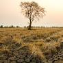 Czech Republic suffering catastrophic drought: Minister