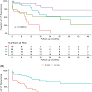 Predictors of long-term success after high-density mapping-guided substrate ablation procedures for ventricular tachycardia in patients with ischemic cardiomyopathy