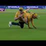 Watch : Corbin Bosch Crazy Catch Of Abhishek Sharma Today In IND Vs SA | T20 World Cup 2026 (ZTN5yyrNt1)