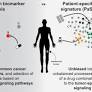 inhibition in melanoma by deciphering and targeting personalized protein network alterations