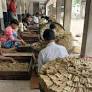 Bidi barons lock horns in elections in West Bengal’s Murshidabad and Malda | Kolkata