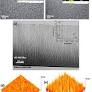 Nanocolumnar Crystalline Vanadium Oxide-Molybdenum Oxide Antireflective Smart Thin Films with Superior Nanomechanical Properties