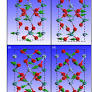 Ab Initio Study of the Electronic Structure and Lattice Dynamics of Scheelite Type AgTcO4