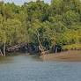 Sundarbans records highest drowning mortality rate among children across globe: Report