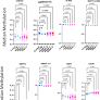 Clinical validation of peripheral blood mononuclear cell DNA methylation markers for accurate early detection of hepatocellular carcinoma in Asian patients