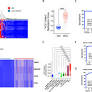 A high-throughput test enables specific detection of hepatocellular carcinoma