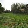 KMC starts desilting and strengthening banks of Bikramgarh Jheel beside South City