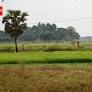 Land debate returns to Singur ahead of PM rally