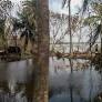 [Photos] Scenes from the Sundarbans after Amphan