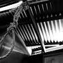 Three Farmers Found Dead In West Bengal. Families Allege Suicide Due To Crop Failure, Authorities Deny Claim
