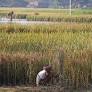3 Farmers Found Dead In Bengals Bardhaman District, Families Blame Crop Failure
