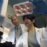 Scientists work to stop fat cells from becoming large, dysfunctional on a high-fat diet