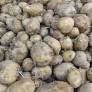 Min: Crackdown on middlemen will bring down potato price