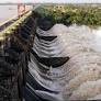 Trucks stuck as West Bengal seals Jharkhand border over release of DVC water