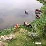 Regularise grazing land owned by government: Chennai Velachery MLA J M H Aassan Maulaana
