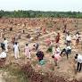 Tami Nadu: Ranipet sows 52 lakh palm seeds in 5 hours, reaps world record