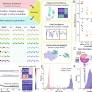 In silico evolution of autoinhibitory domains for a PD-L1 antagonist using deep learning models