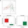 Stability of Gut Enterotypes in Korean Monozygotic Twins and Their Association with Biomarkers and Diet
