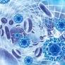 Small Study Highlights the Serious Nature of Coronary Stent Infections
