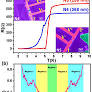 Proximity-induced supercurrent through topological insulator based nanowires for quantum computation studies