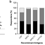 Naturally acquired antibodies against Plasmodium vivax pre-erythrocytic stage vaccine antigens inhibit sporozoite invasion of human hepatocytes in vitro | Scientific Reports