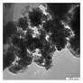 Synthesis, Characterization, and Cytotoxicity of Iron Oxide Nanoparticles