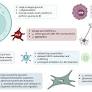 The lysosomal trafficking regulator “LYST”: an 80-year traffic jam