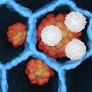 Ivonescimab Delays Lung Cancer Progression in EGFR-Mutated Disease