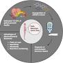 Advancements in microRNA-based electrochemical biosensors for preeclampsia detection