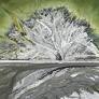 Edward Burtynsky: Taking Place