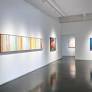 Robert Natkin: A Better Place