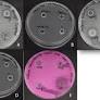 Evaluation of the Anti-inflammatory, Antimicrobial, Antioxidant, and Cytotoxic Effects of Chitosan Thiocolchicoside-Lauric Acid Nanogel