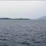 Stalin urged to advance Lower Bhavani dam water release