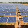 Solar farm expansion in India brings concerns of reckless herbicide use