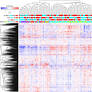 Transcriptome profiling and network enrichment analyses identify subtype-specific therapeutic gene targets for breast cancer and their microRNA regulatory networks