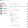 Isolation and comparative genomics of Mycobacterium tuberculosis isolates from cattle and their attendants in South India