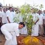 New Cauvery bridge connecting Tiruchy with Srirangam to come up in 18 months