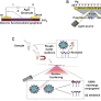 New Age Detection of Viruses: The Nano-Biosensors