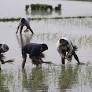 Mayiladuthurai to get 140 DPC centres this kharif season