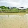 12 cm rainfall pounds Nagapattinam; acres of samba crops inundated