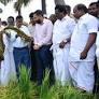 Paddy fields flooded, Minister takes stock of situation in Nagapattinam