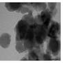Biosynthesis and Antimicrobial Activity of Semiconductor Nanoparticles against Oral Pathogens