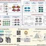 Neuroimaging epicenters as potential sites of onset of the neuroanatomical pathology in schizophrenia