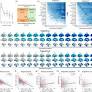 Neurostructural subgroup in 4291 individuals with schizophrenia identified using the subtype and stage inference algorithm