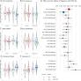Investigating the disturbance in cortical glutamate and GABA function in psychosis and its origins and consequences