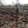 5 dead, over 10 injured in Madurai firecracker unit blast; CM announces Rs 5 lakh solatium