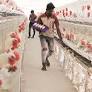 “TN Forms Panels to Address Poultry Farmers’ Issues”